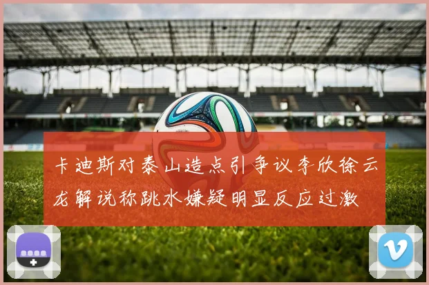 卡迪斯对泰山造点引争议李欣徐云龙解说称跳水嫌疑明显反应过激