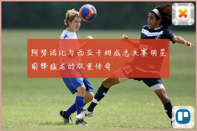 阿努诺比与西亚卡姆成总决赛明星前锋猛龙的双重传奇