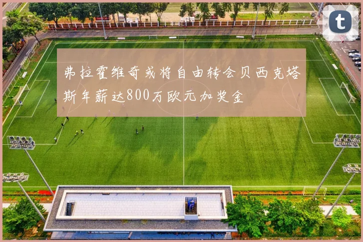 弗拉霍维奇或将自由转会贝西克塔斯年薪达800万欧元加奖金